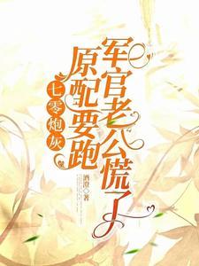 军官老公慌了列表 作者酒澄