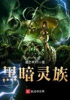 黑暗灵族之路三部曲