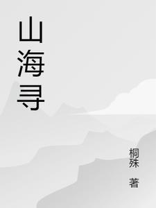 山海寻中录是啥