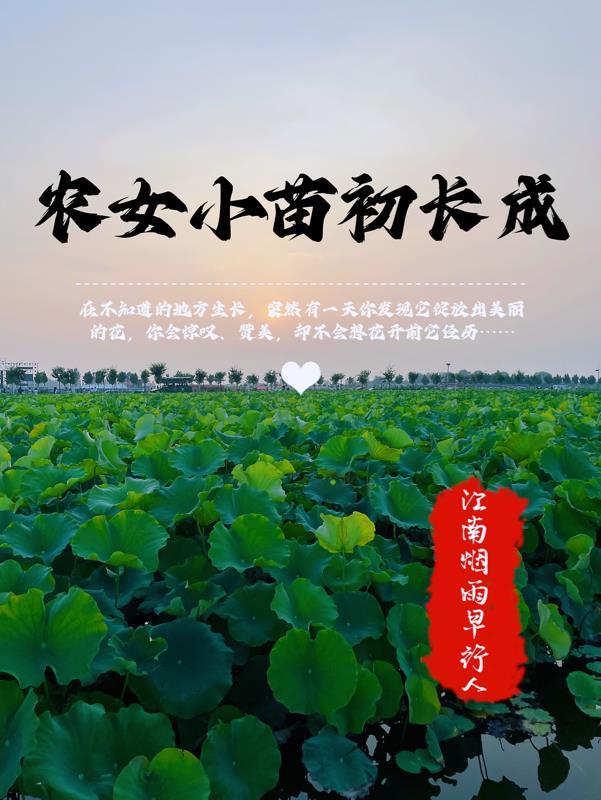 小农女超凶的大结局