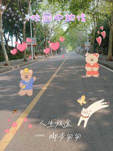 校园的感情