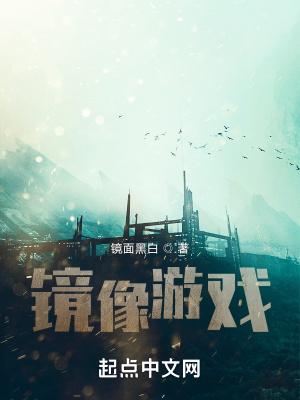 镜像游戏汉化