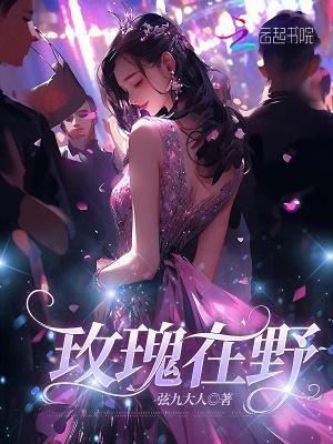 玫瑰在野弦九大人