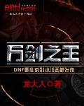 万剑之王西方之焰加什么属性