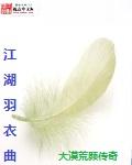 大江湖羽衣宝典怎么处置