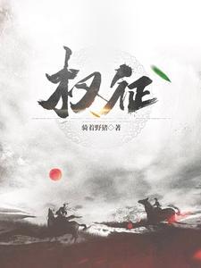 权征途