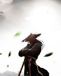 龙与魔法师兔子
