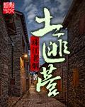 土匪营全本TXT