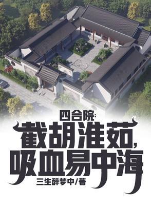 中国老四合院布局