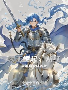 领主崛起从红果镇开始