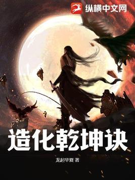 乾坤造化诀诸葛凌枫
