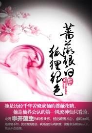 蔷薇 白色