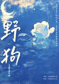 野狗不换第一章