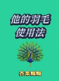 他的羽毛使用法晋江文学城