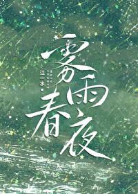 雾雨春夜却思