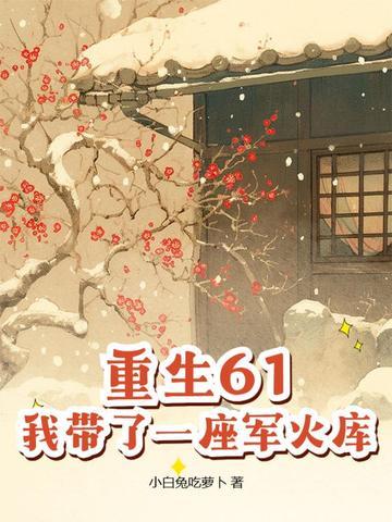 重生61我带了一座军火库简介