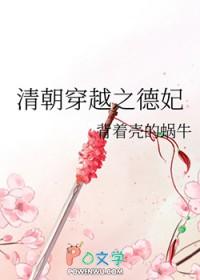清朝穿越之德妃(完结)