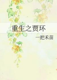 重生贾环庶子