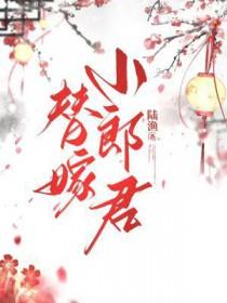 替嫁小郎君by