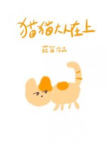在路上的猫大人