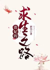 贵妃生孩子