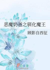 恶魔奶爸番外篇