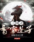 三国之曹家逆子大神