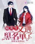 陆先生又进黑名单了正版阅读