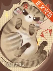 我才不是邪恶小猫咪免费观看