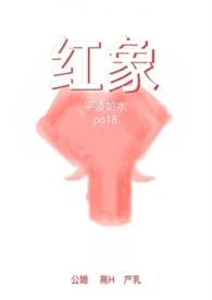 红象2.0 作者平淡如水