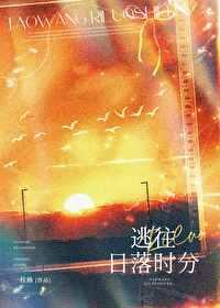 在日落前逃跑吧的意思