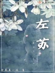 左新房cp左苏