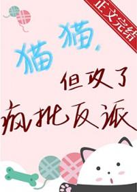 猫猫但攻了疯批反派简介