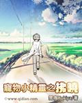 精灵宝可梦之拂晓 笔趣阁