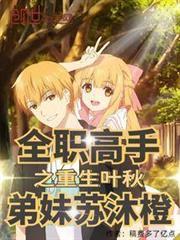 全职高手之国外叶秋