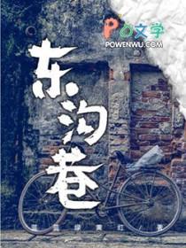 东沟巷桃源居正门在哪