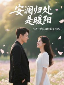 安澜归处是暖阳什么意思