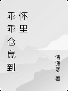 呆呆的仓鼠
