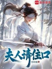 夫人请住手作者