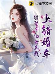 上错婚车嫁了冷面总裁