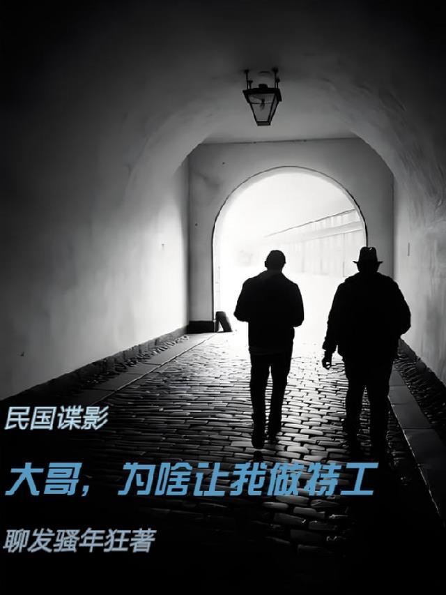 民国谍影大哥为啥让我做特工