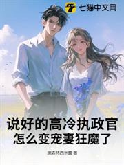 说好的高冷执政官