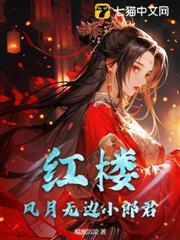 红楼梦殇之风月无边