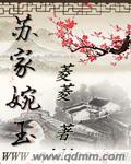女主人公叫苏婉的一本
