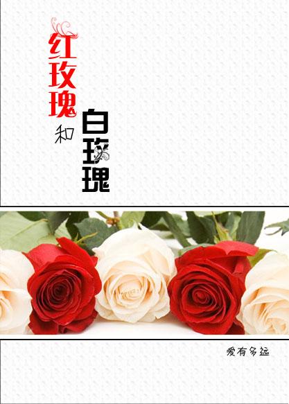 红玫瑰和白玫瑰电影免费观看