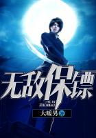 无敌保镖1-100集免费