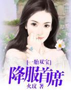 一胎双宝总裁爹地超给力免费阅读