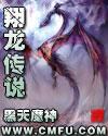 翔龙啥意思