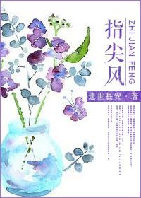 指尖风月作品