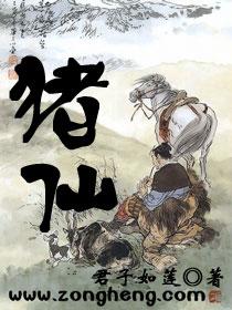 猪仙子B超机怎么样